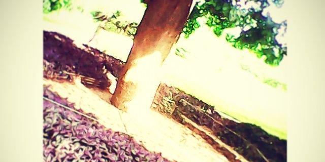 yubisay0515's profile banner image