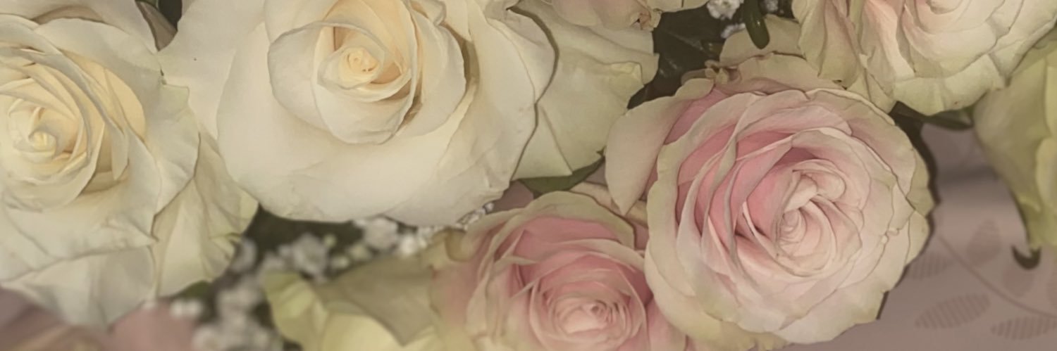 Maesanoi's profile banner image