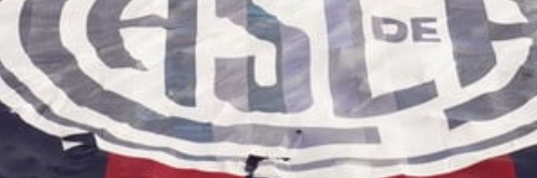 Adriana Dessimone banner