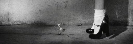letinthebubble's profile banner image