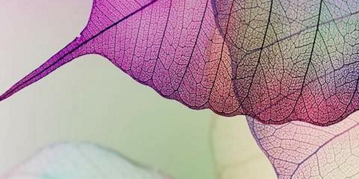 Motieshare1's profile banner image