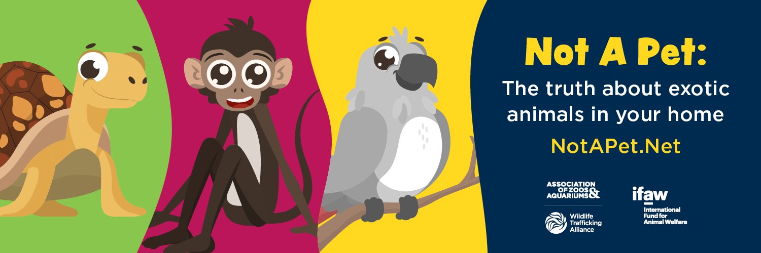 Wildlife Trafficking Alliance banner