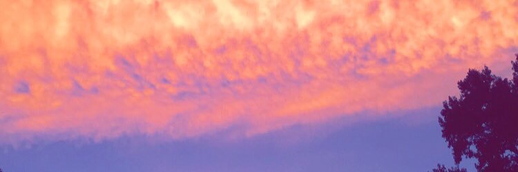 MichaelaBaker15's profile banner image