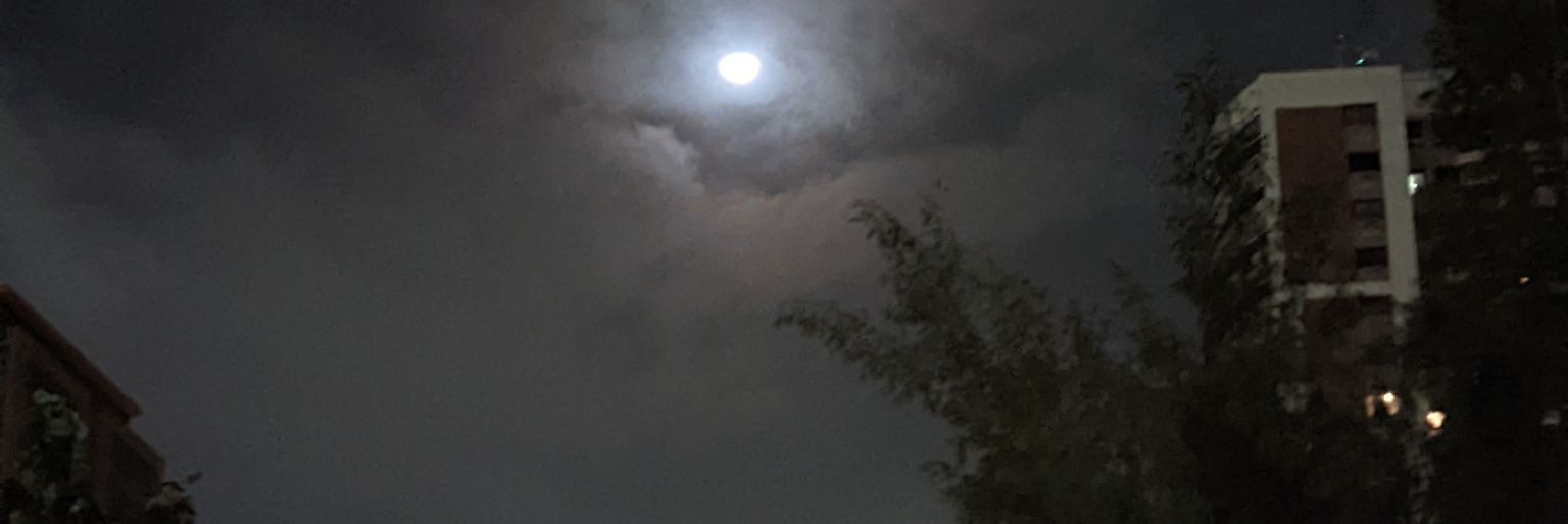 leonardocrveira's profile banner image