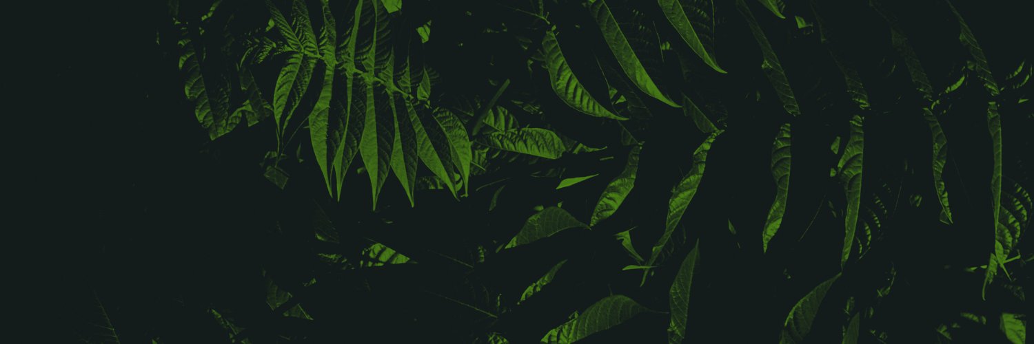 chicknamedd's profile banner image