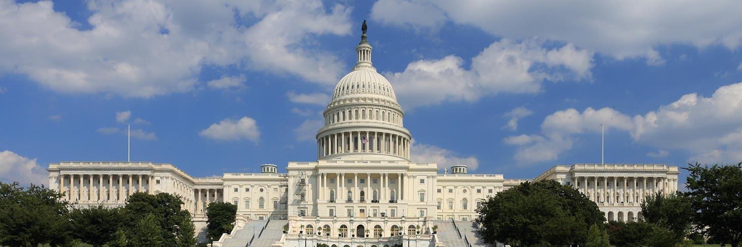 SexyCongress's profile banner image