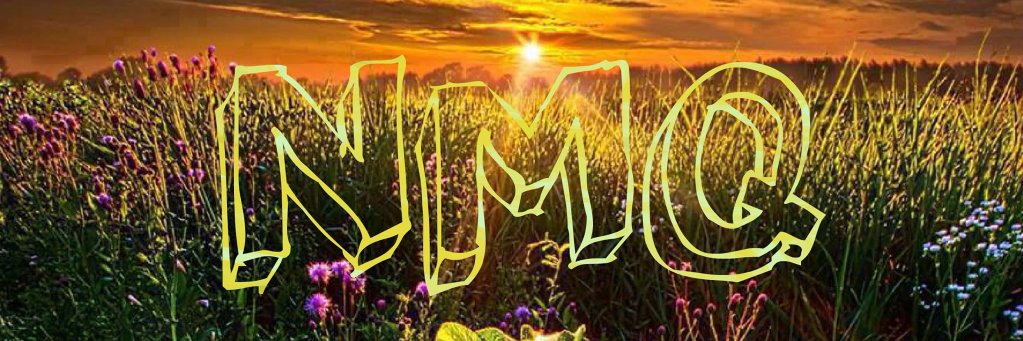 NickysQuotes's profile banner image