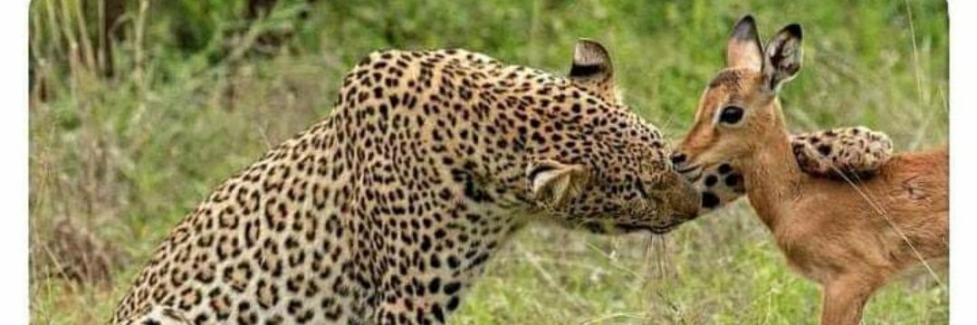 Umwongera's profile banner image