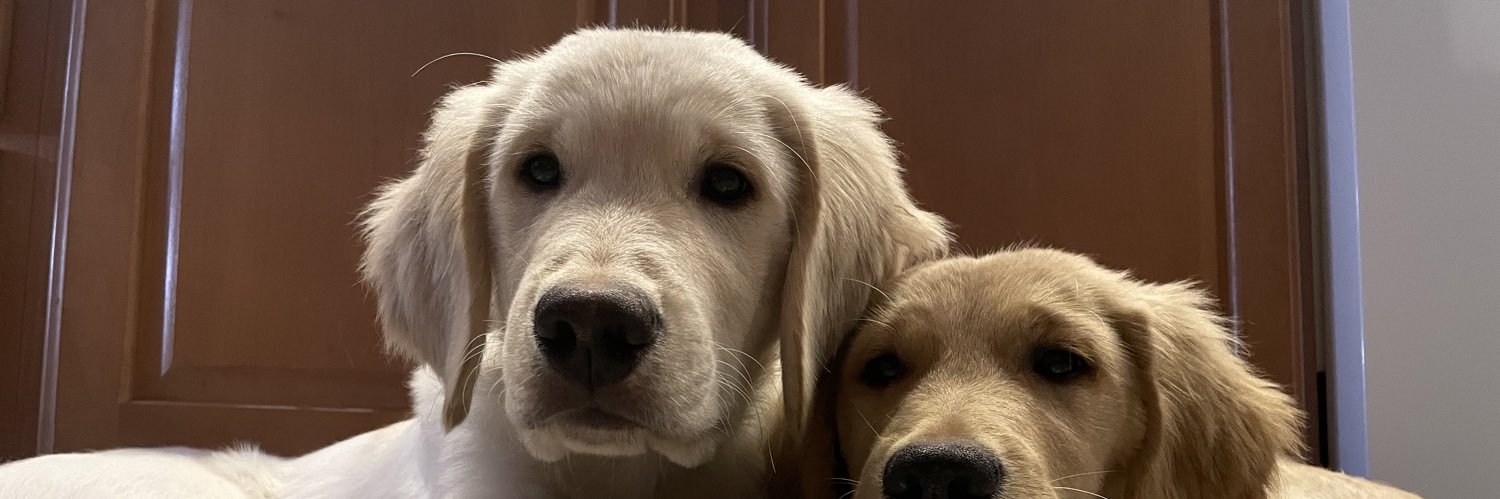 allisonmorse99's profile banner image