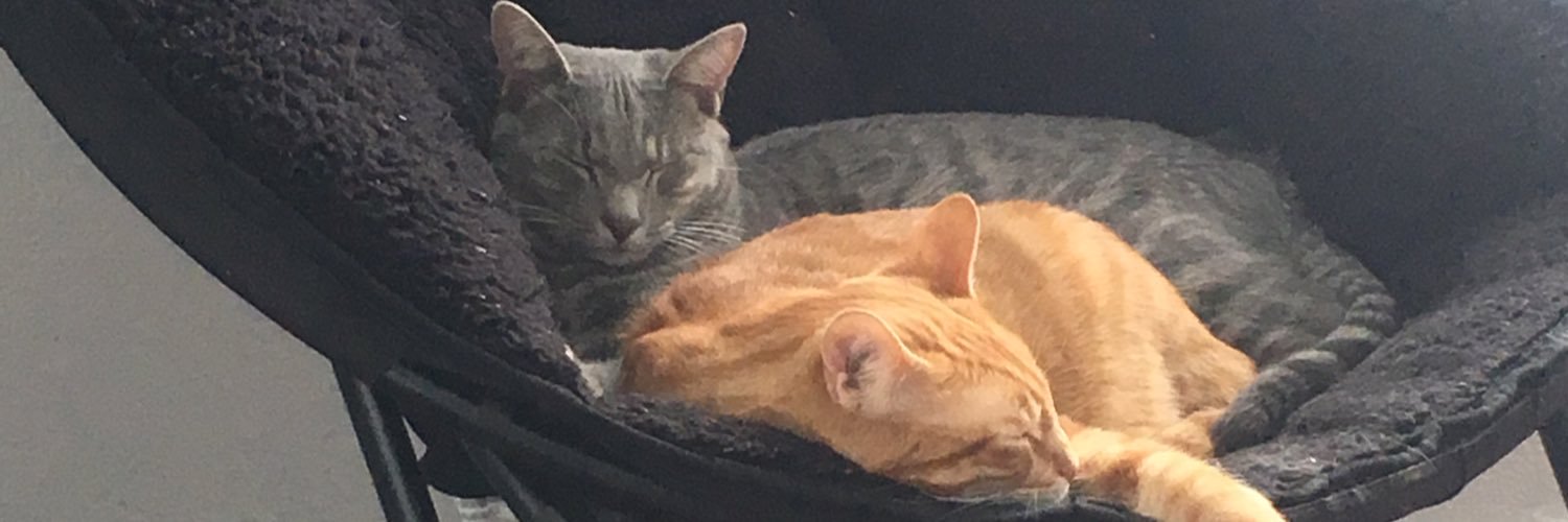 Kathy_Kinz's profile banner image