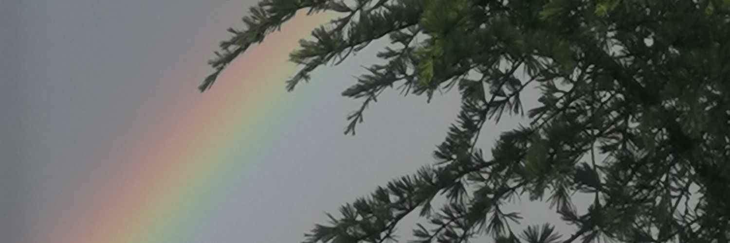 nuriausg's profile banner image