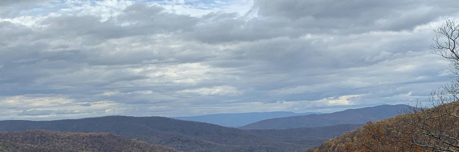 _RealMatters's profile banner image
