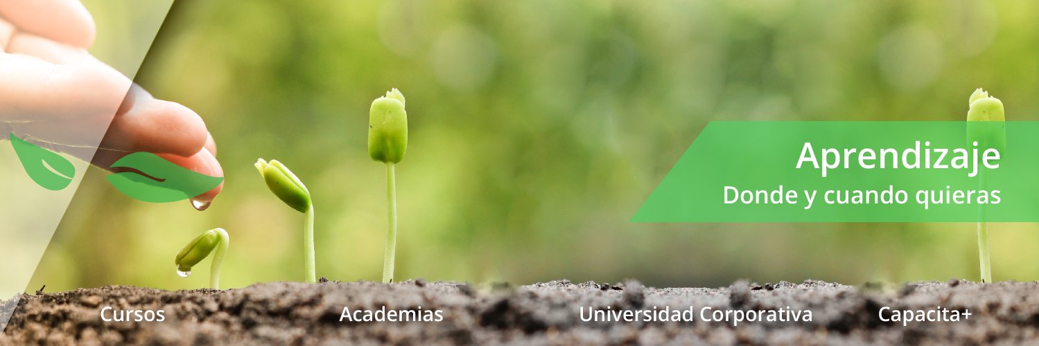 Learnsity's profile banner image