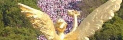 Megovape's profile banner image