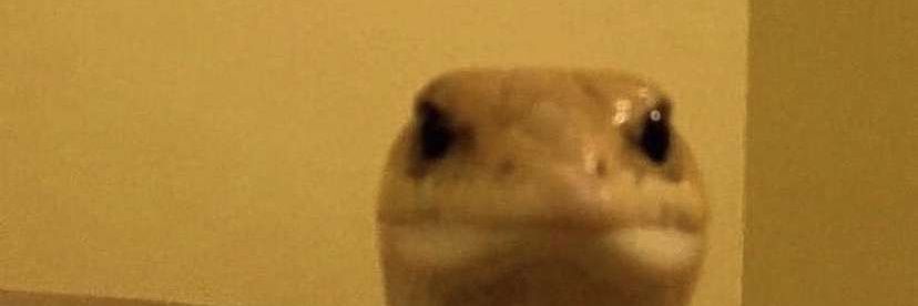 ijustneedmemes's profile banner image