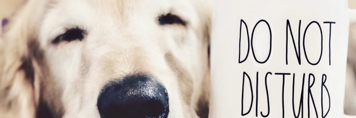 Pilkingtonnn's profile banner image