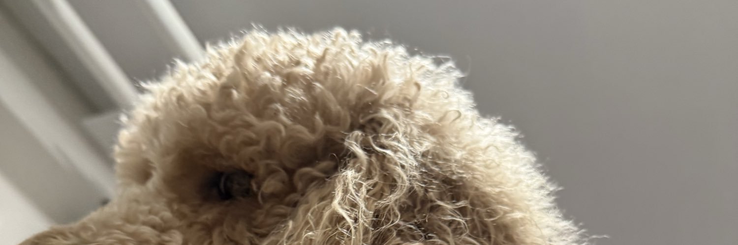 petermen_'s profile banner image