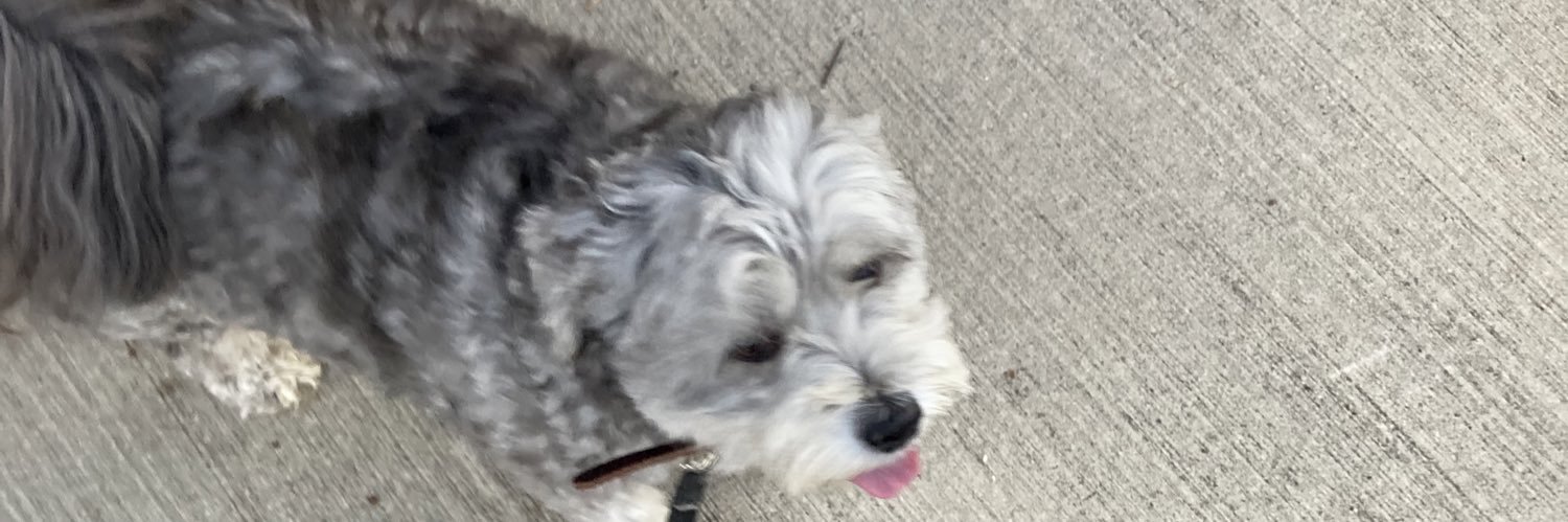 itsmadsn0's profile banner image