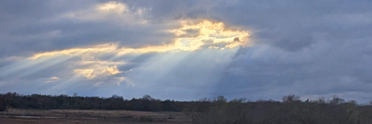 timwhite101's profile banner image