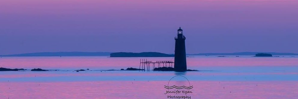 ⚜️ Why Not ⚜️ banner