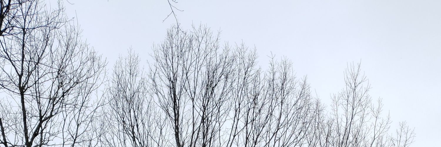 PriySara's profile banner image