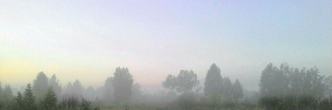moon69tea's profile banner image
