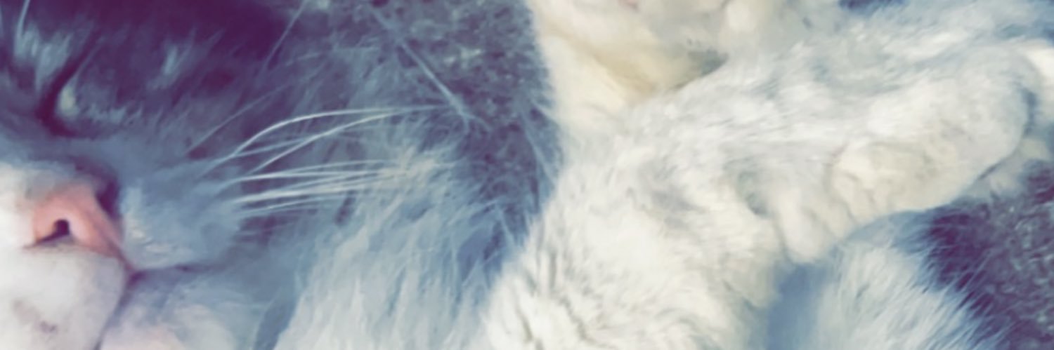 AmineMejrixXx's profile banner image