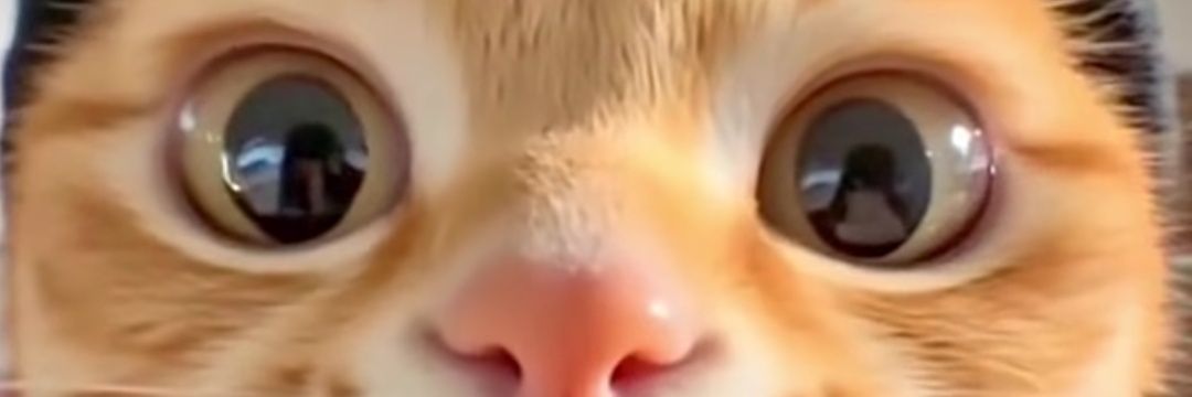 Retro SATANA ...😈 banner