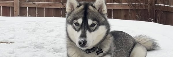 abisweeney_ Profile Banner