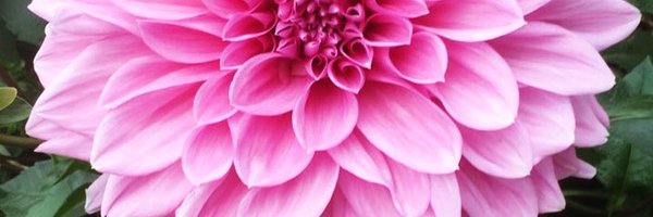 CMPeterson27 Profile Banner