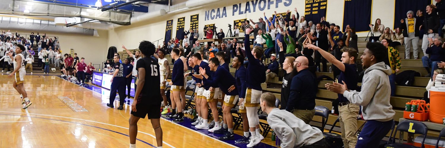 Lycoming Basketball banner