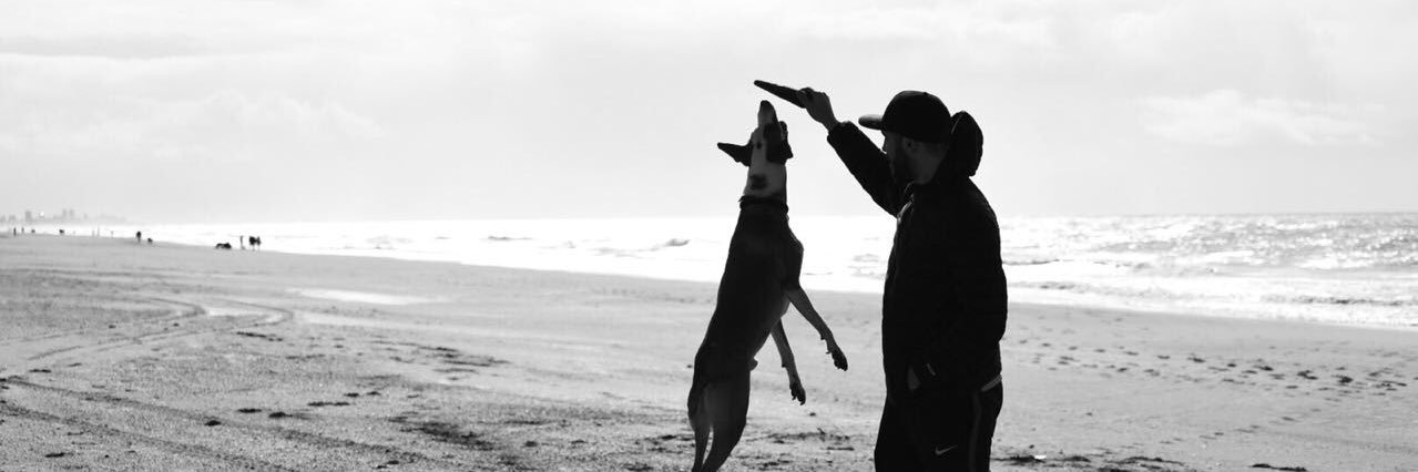 gfunes91's profile banner image