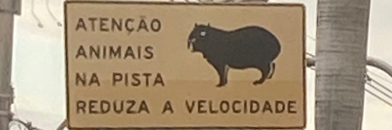 Junior Macedo banner