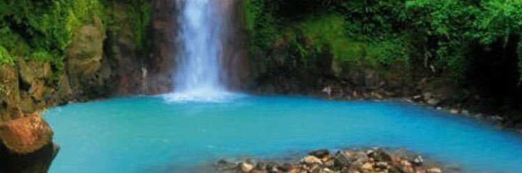 tatanapitts's profile banner image