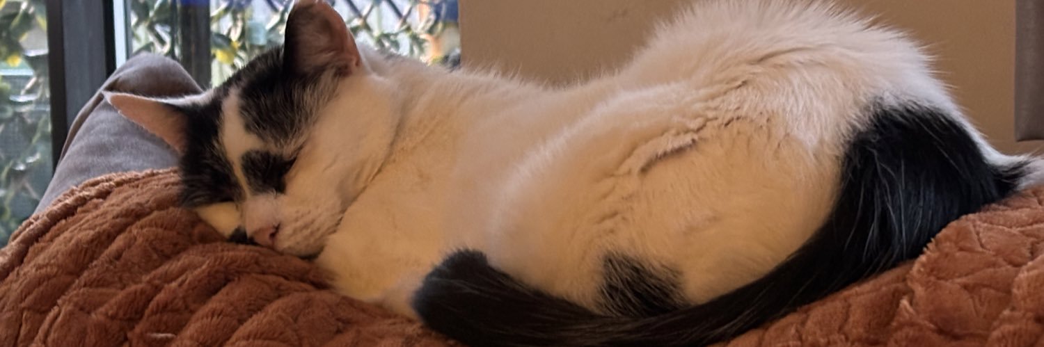 ChantilliJones's profile banner image