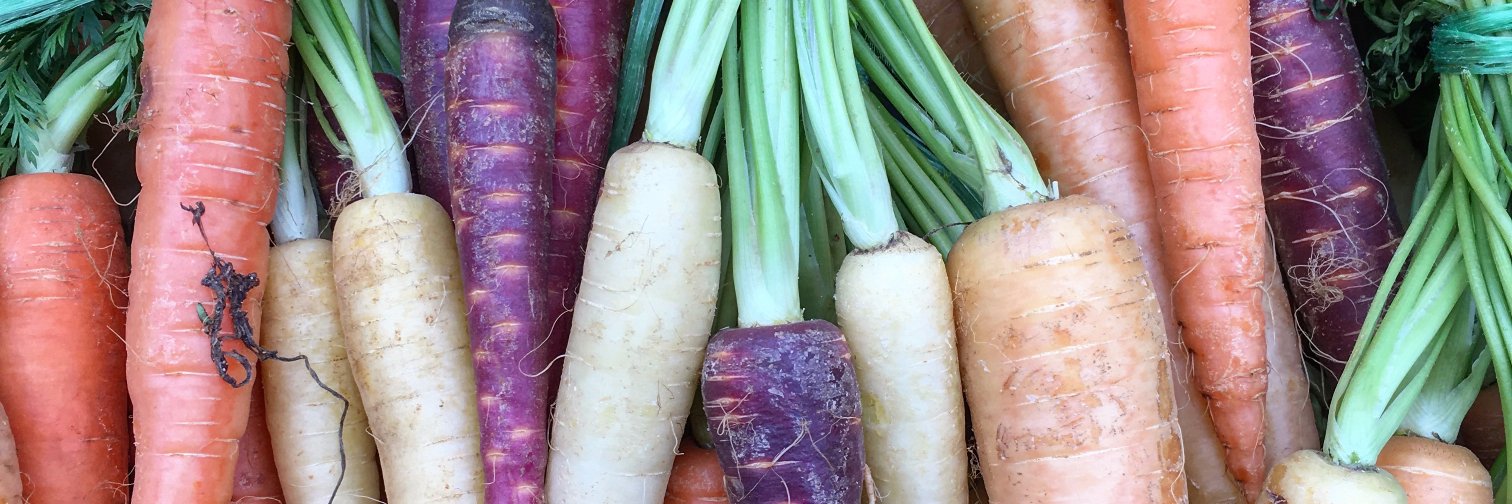 BrixtonFarmersMarket banner