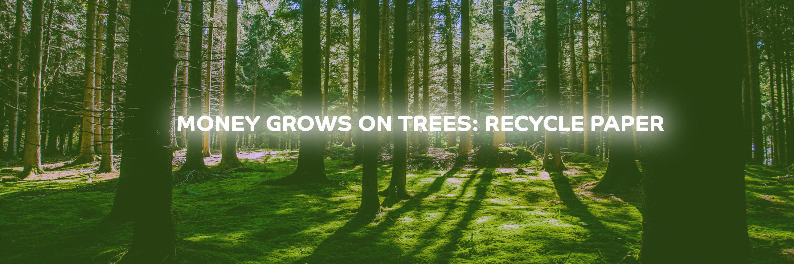 TMS Recycling banner