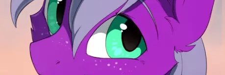 NPCtendo's profile banner image