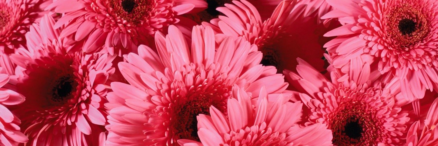 johnsk20's profile banner image