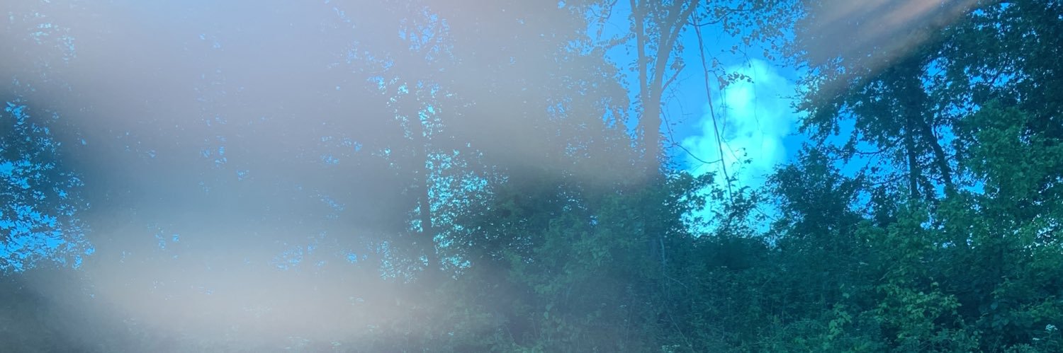 prtyctypimpsuit's profile banner image