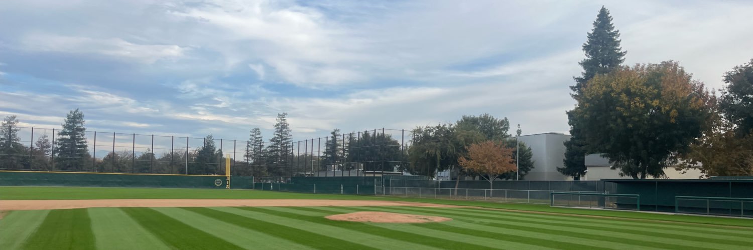 Davis Beavers banner