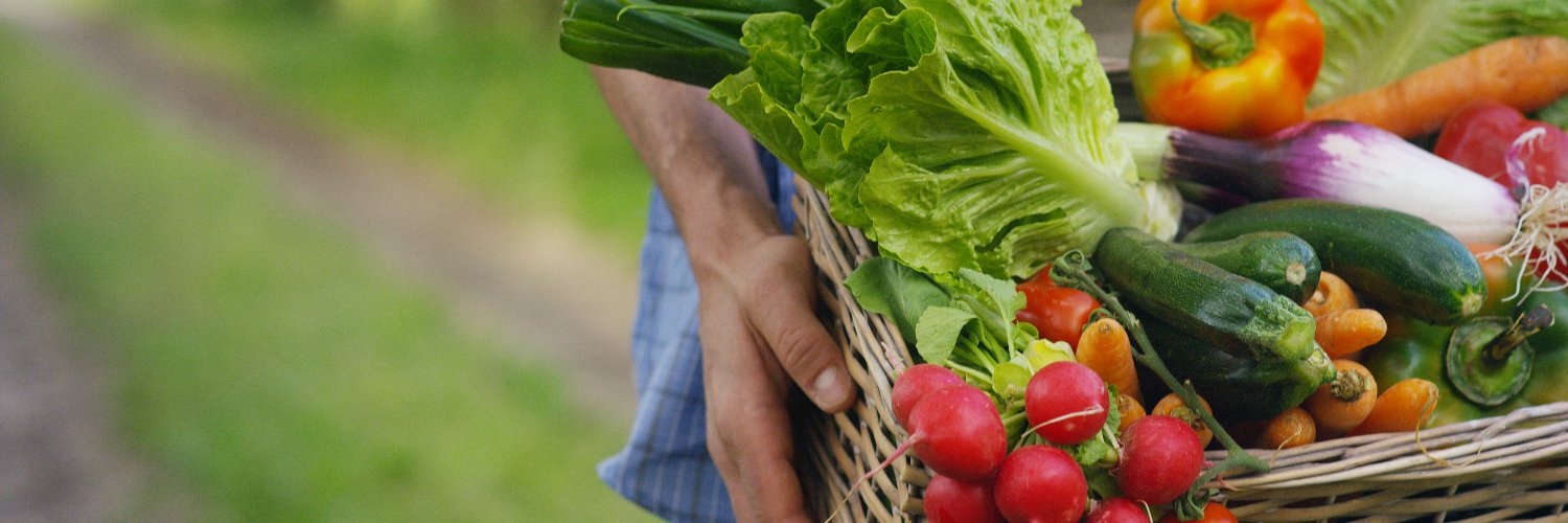 DDResilientFood's profile banner image