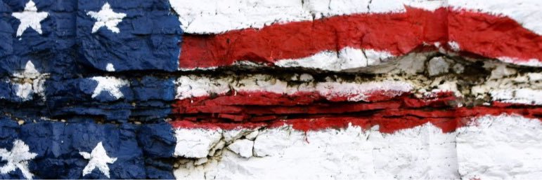 Snapper banner