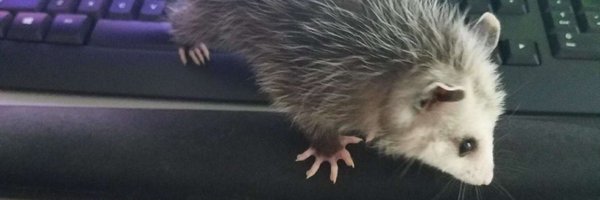 saraehopper97 Profile Banner