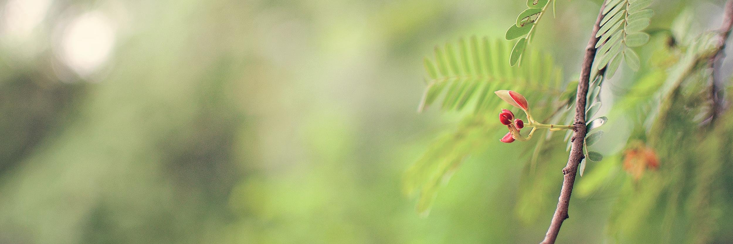 akkias's profile banner image