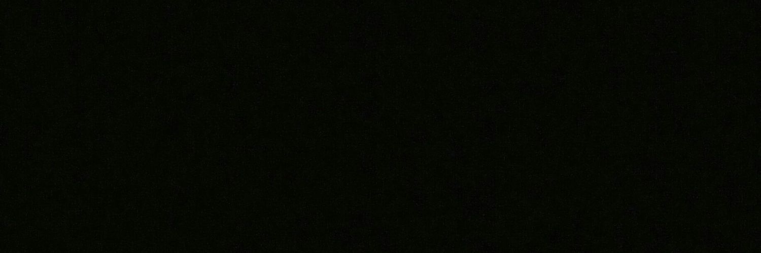 13fadc's profile banner image