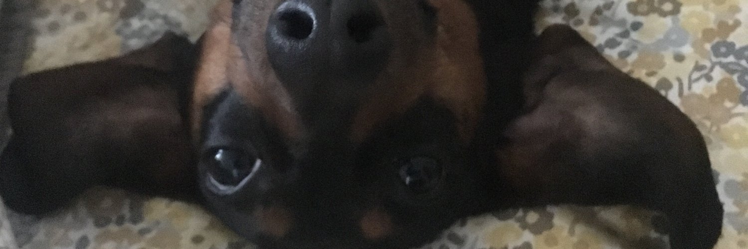 LC_53's profile banner image