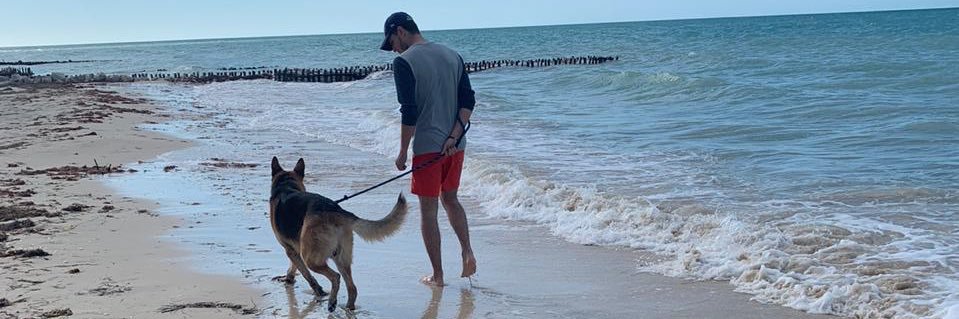 emilio_sedas's profile banner image