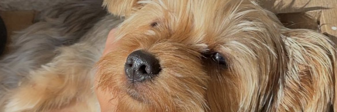 CharlesZoryez's profile banner image