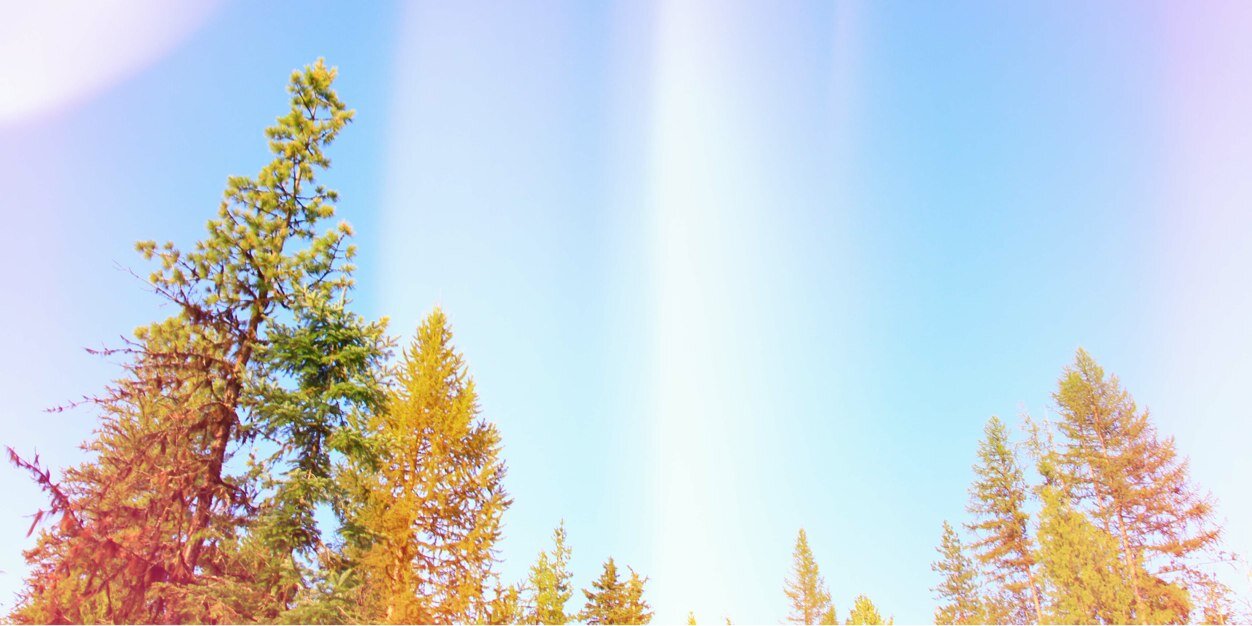 danismashwine's profile banner image